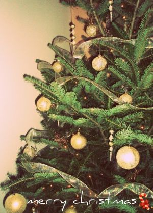Christmas trees - mylusciouslife.com - christmas tree decor1.jpg